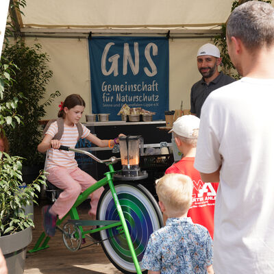 Bild vergr&ouml;&szlig;ern: Festplatz 2