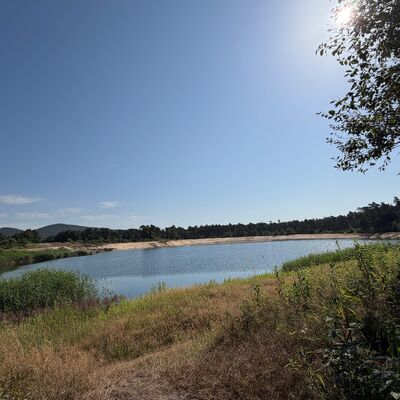 Baggersee am Kohlenweg